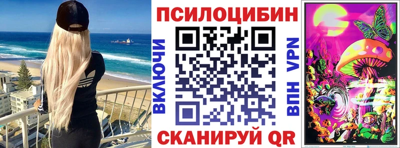 купить закладку  Сясьстрой  кракен рабочий сайт  Псилоцибиновые грибы Psilocybine cubensis 